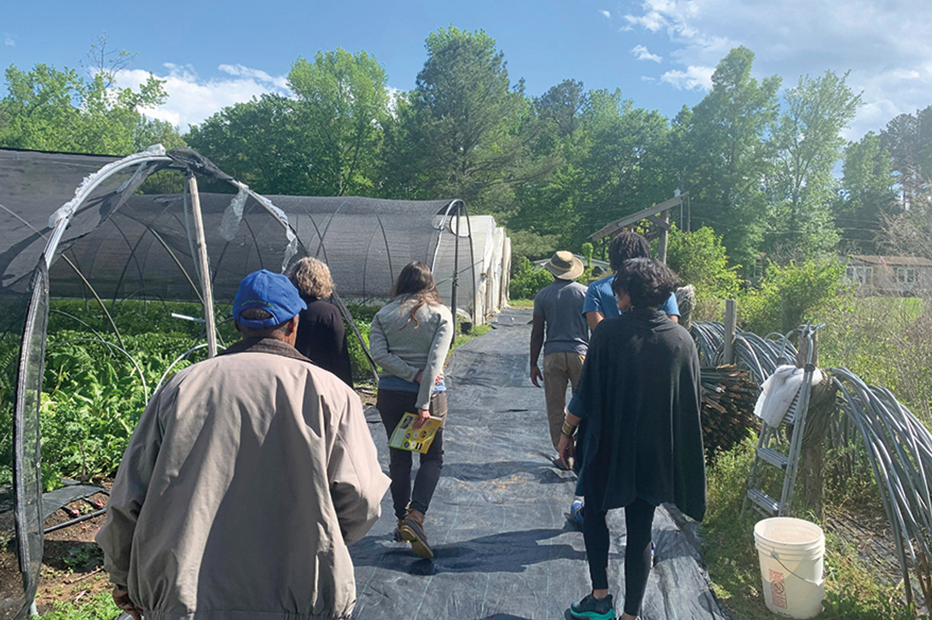 Group of people walking around greenhouses and gardens